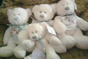 Teddys