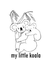 koala4